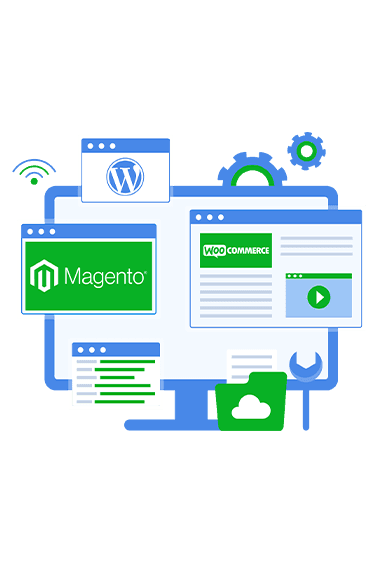 Website Development
